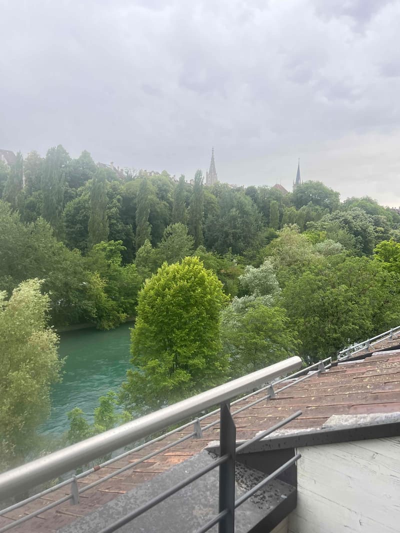2½ ZI-WOHNUNG IN BERN - ALTENBERG, MÖBLIERT, TEMPORÄR (6)