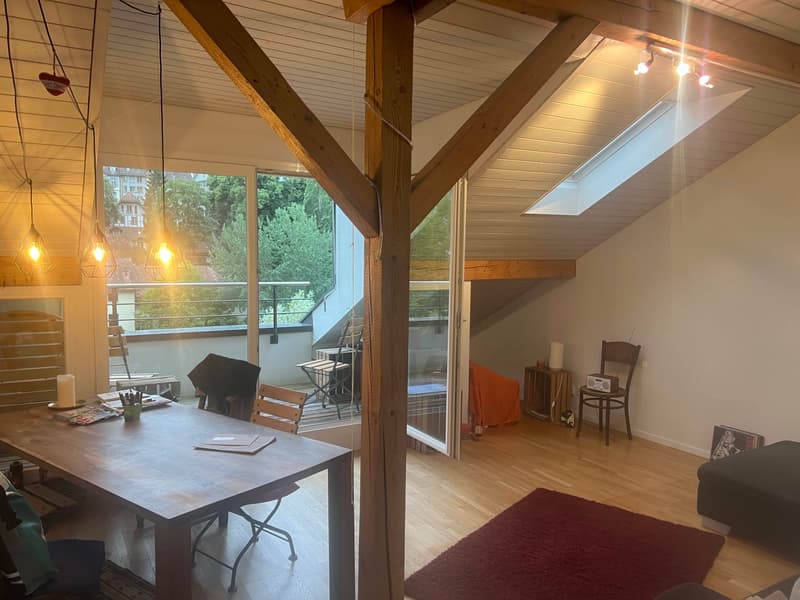 2½ ZI-WOHNUNG IN BERN - ALTENBERG, MÖBLIERT, TEMPORÄR (2)