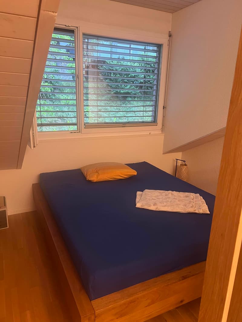 2½ ZI-WOHNUNG IN BERN - ALTENBERG, MÖBLIERT, TEMPORÄR (4)
