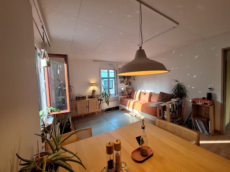 2½ ZI-WOHNUNG IN ZÜRICH - KREIS 10 WIPKINGEN, MÖBLIERT, TEMPORÄR (1)