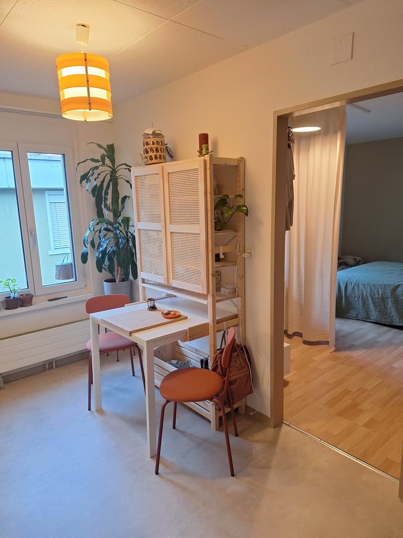 2½ ZI-WOHNUNG IN ZÜRICH - KREIS 10 WIPKINGEN, MÖBLIERT, TEMPORÄR (3)