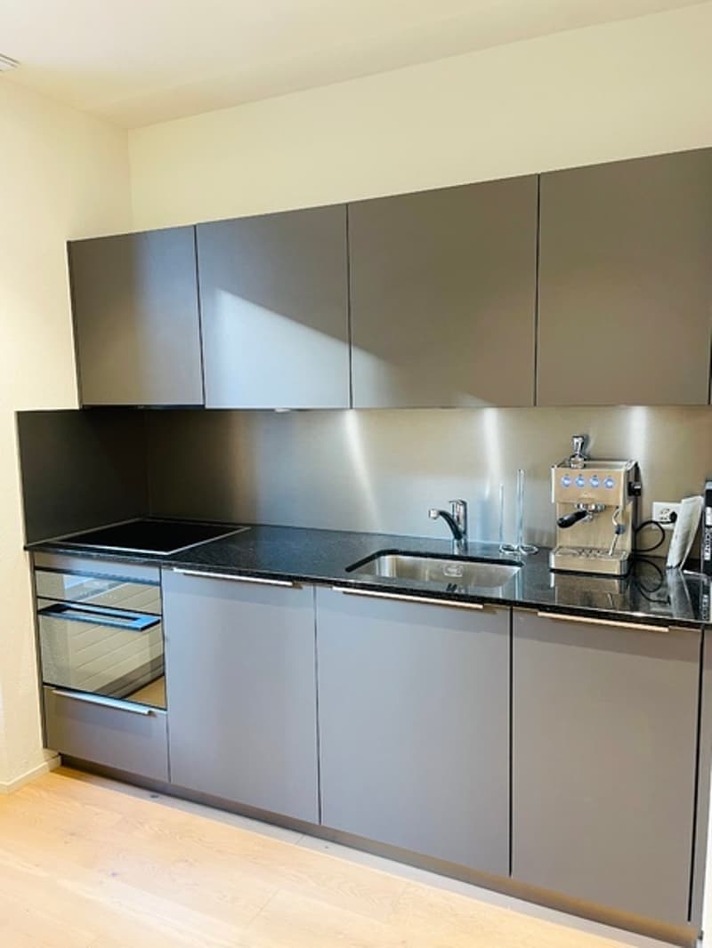 1½ ZI-WOHNUNG IN ZÜRICH - KREIS 3, MÖBLIERT, TEMPORÄR (3)
