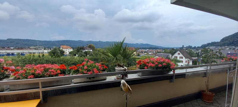 3½ ZI-WOHNUNG IN WÜRENLOS (AG), MÖBLIERT, TEMPORÄR (1)