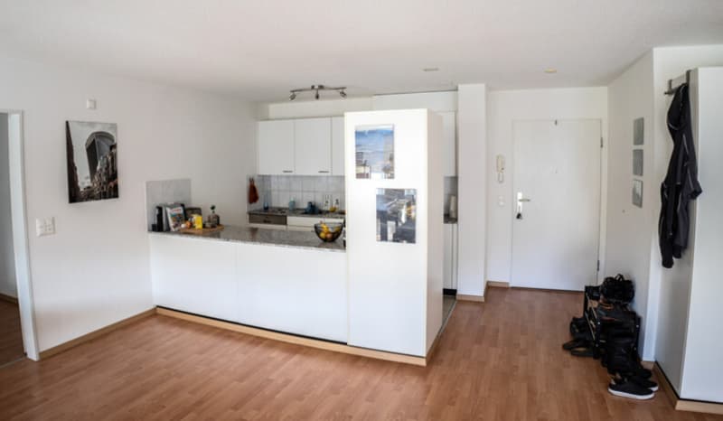 3½ ZI-WOHNUNG IN WINTERTHUR, MÖBLIERT, TEMPORÄR (4)