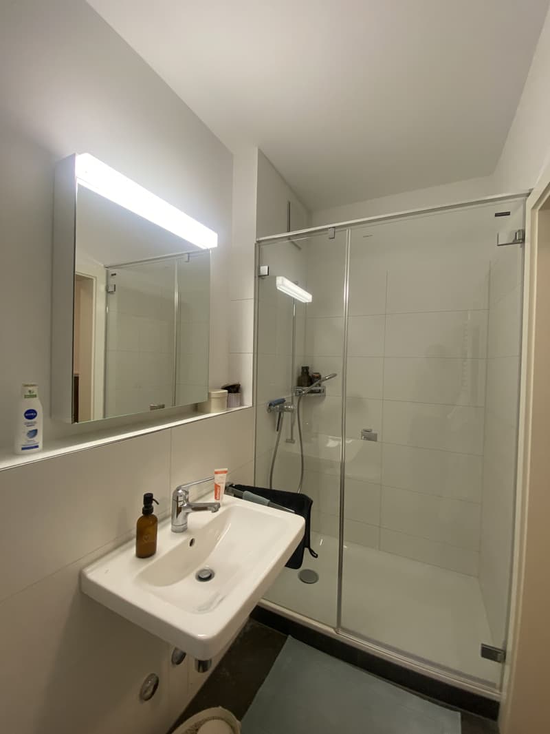 2½ ZI-WOHNUNG IN WINTERTHUR - STADT, MÖBLIERT, TEMPORÄR (10)