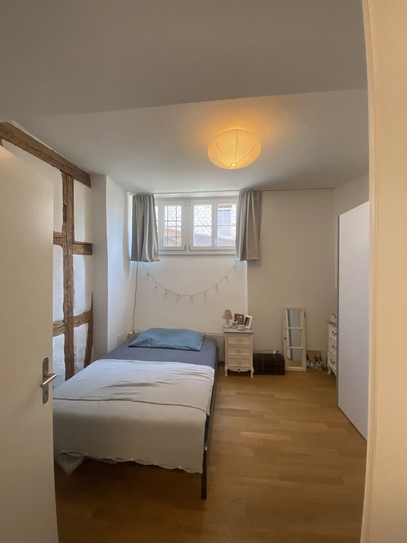 2½ ZI-WOHNUNG IN WINTERTHUR - STADT, MÖBLIERT, TEMPORÄR (8)