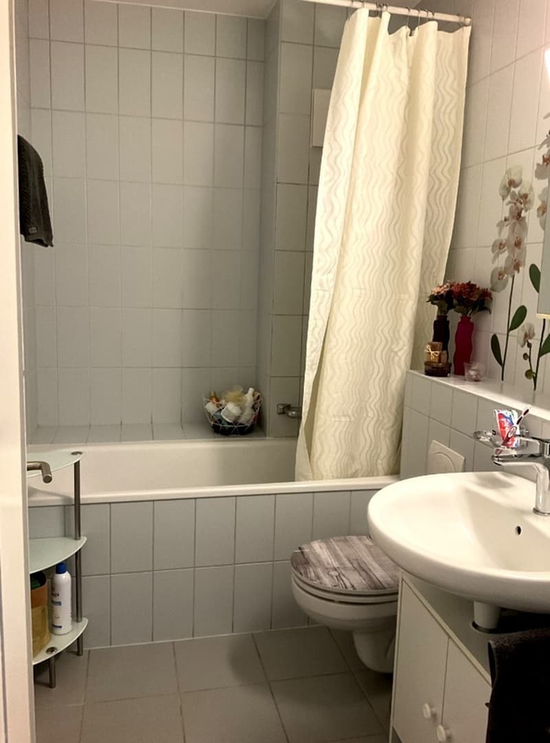 3 ZI-WOHNUNG IN BASEL - GELLERT/ST. ALBAN, MÖBLIERT, TEMPORÄR (9)
