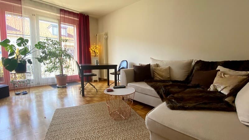 3 ZI-WOHNUNG IN BASEL - GELLERT/ST. ALBAN, MÖBLIERT, TEMPORÄR (2)