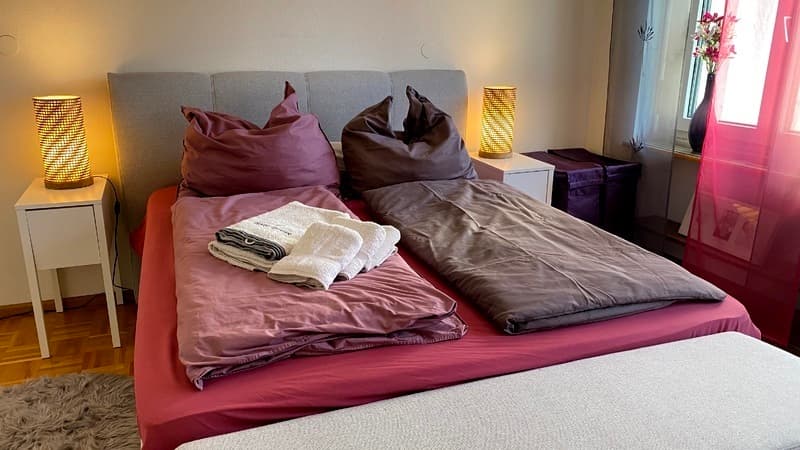 3 ZI-WOHNUNG IN BASEL - GELLERT/ST. ALBAN, MÖBLIERT, TEMPORÄR (5)