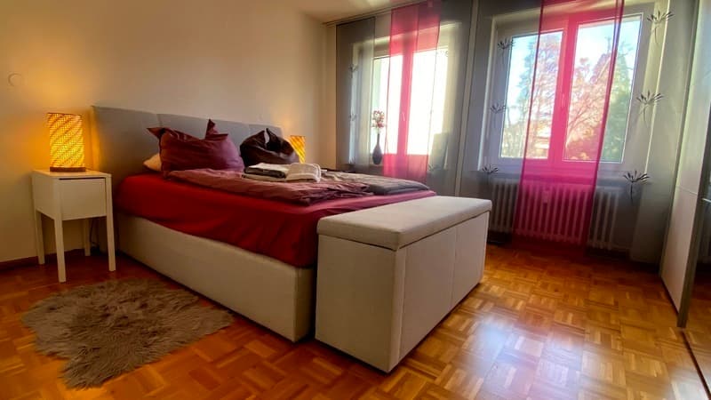 3 ZI-WOHNUNG IN BASEL - GELLERT/ST. ALBAN, MÖBLIERT, TEMPORÄR (4)