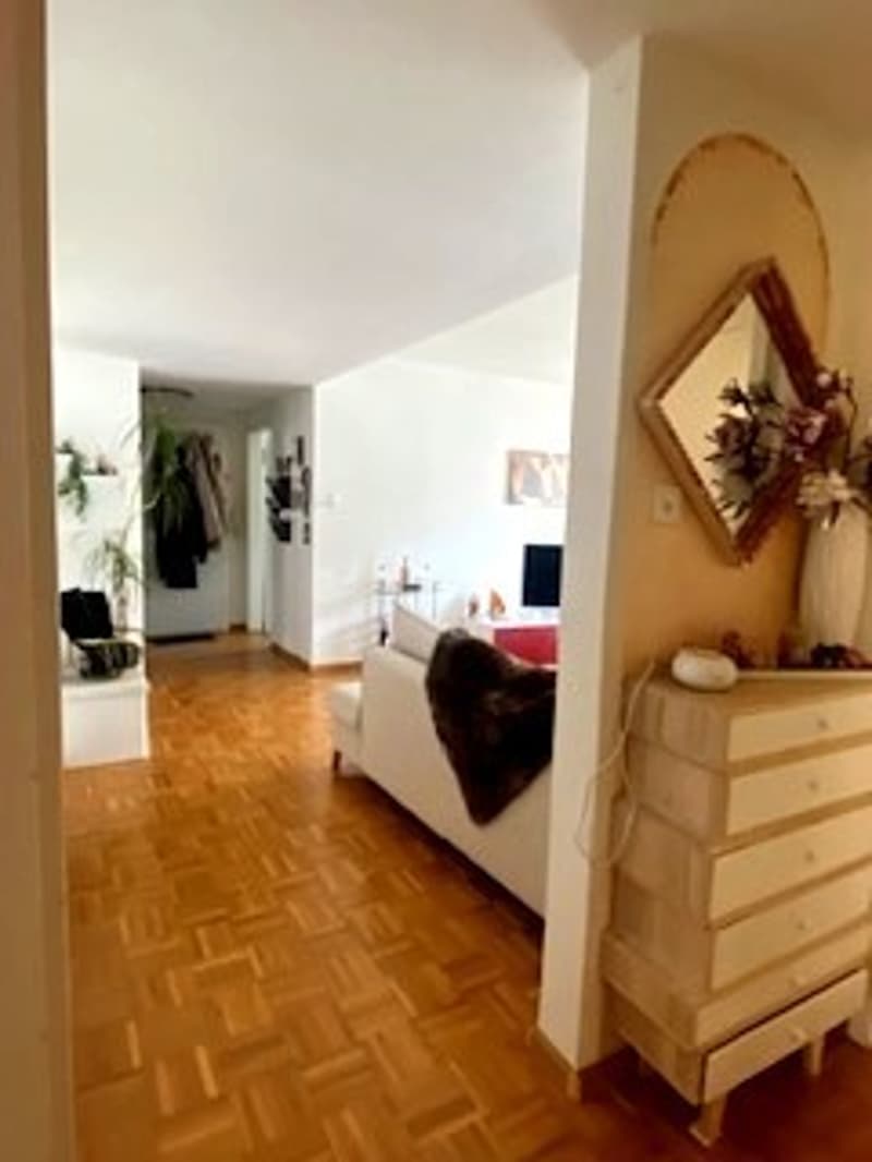 3 ZI-WOHNUNG IN BASEL - GELLERT/ST. ALBAN, MÖBLIERT, TEMPORÄR (8)