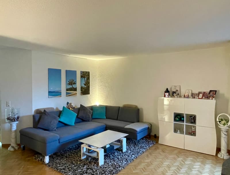 3½ ZI-WOHNUNG IN ITTIGEN (BE), MÖBLIERT, TEMPORÄR (2)