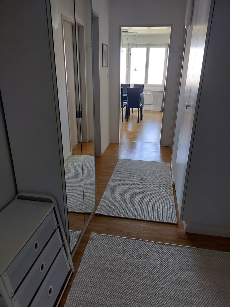 2½ ZI-WOHNUNG IN GOLDACH (SG), MÖBLIERT, TEMPORÄR (7)