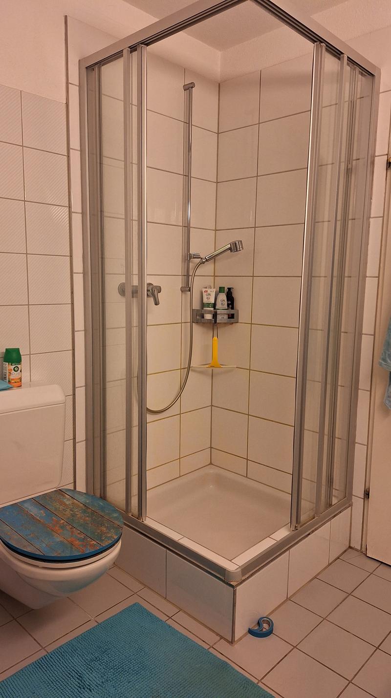 5½ ZIMMER-MAISONETTEWOHNUNG IN SIGGENTHAL STATION (AG), MÖBLIERT, TEMP (8)