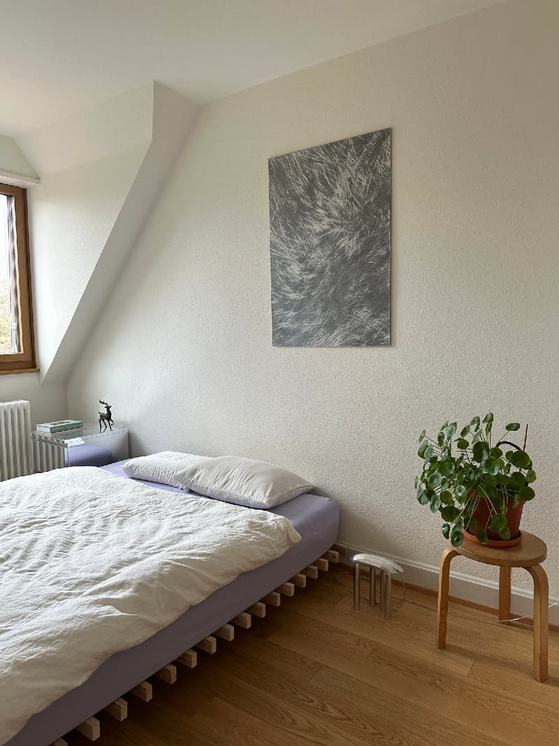 3½ ZI-WOHNUNG IN BASEL - ISELIN, MÖBLIERT, TEMPORÄR (7)