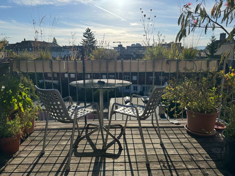 3½ ZI-WOHNUNG IN BASEL - ISELIN, MÖBLIERT, TEMPORÄR (3)