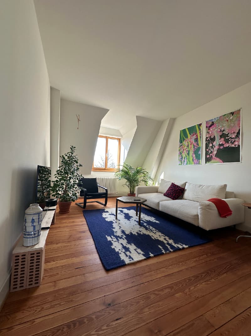 3½ ZI-WOHNUNG IN BASEL - ISELIN, MÖBLIERT, TEMPORÄR (6)