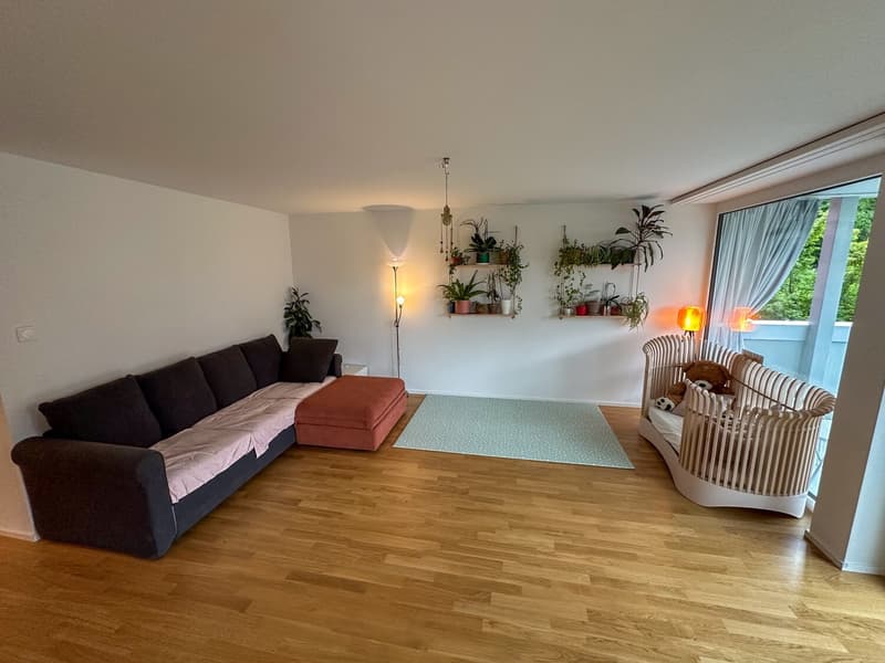 4½ ZI-WOHNUNG IN LUZERN, MÖBLIERT, TEMPORÄR (1)