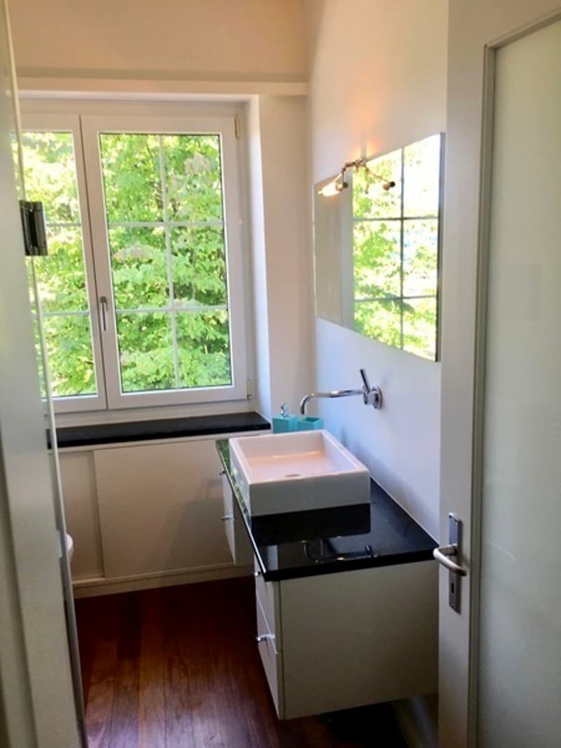 1 ZI-WOHNUNG IN LIESTAL (BL), MÖBLIERT (6)