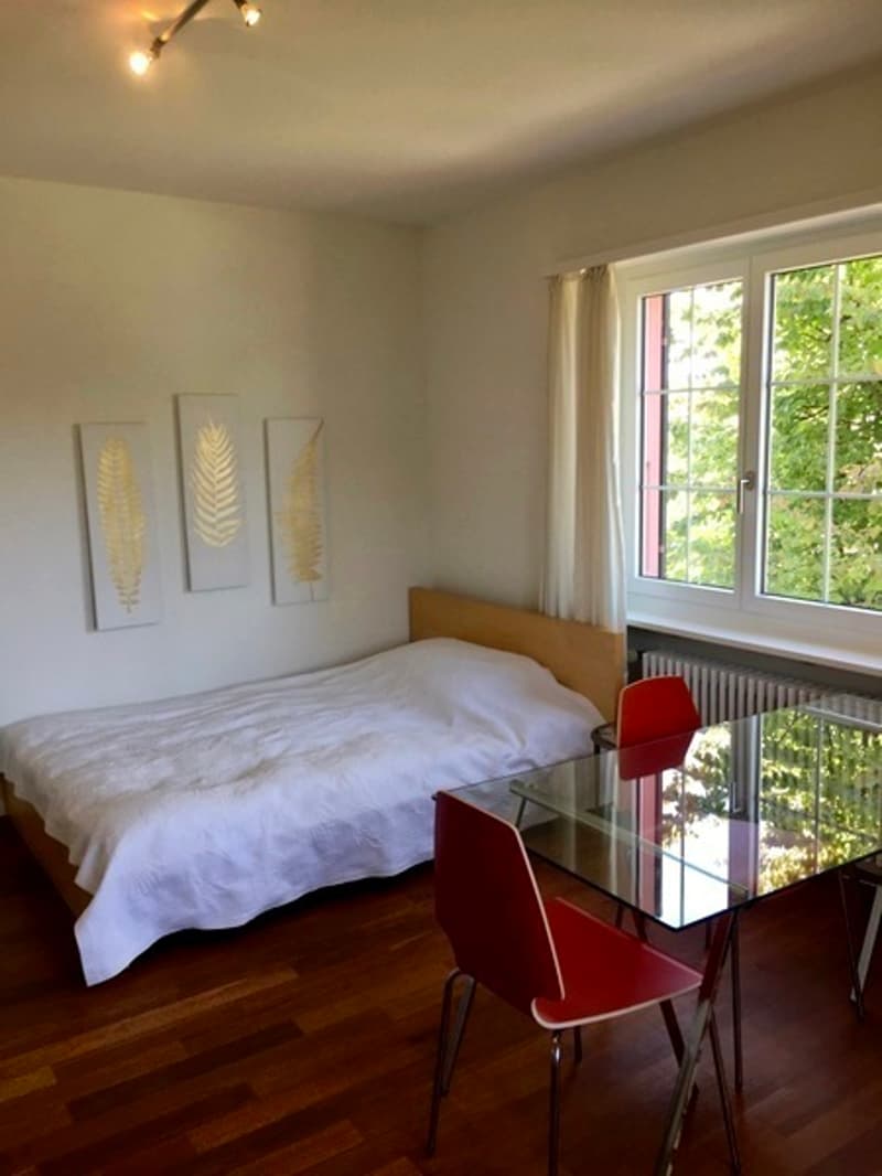 1 ZI-WOHNUNG IN LIESTAL (BL), MÖBLIERT (1)