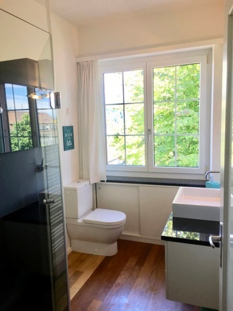 1 ZI-WOHNUNG IN LIESTAL (BL), MÖBLIERT (7)