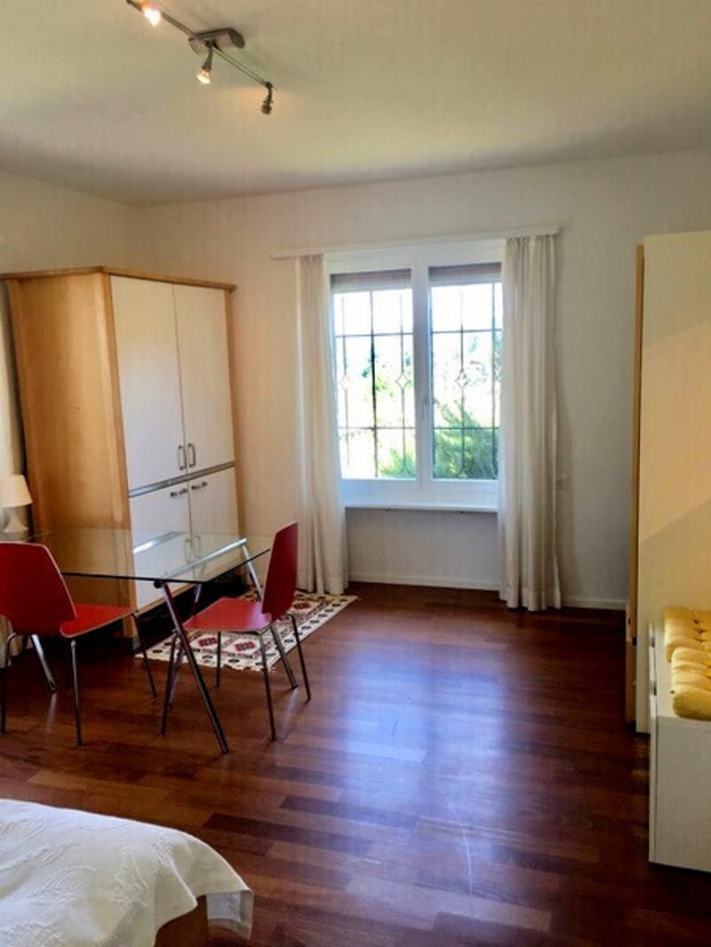 1 ZI-WOHNUNG IN LIESTAL (BL), MÖBLIERT (2)