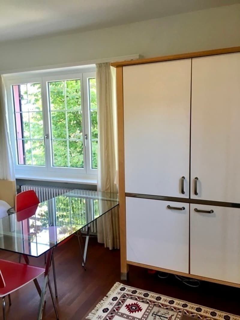1 ZI-WOHNUNG IN LIESTAL (BL), MÖBLIERT (5)