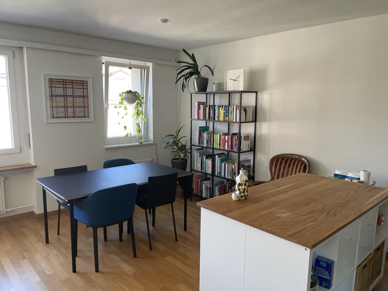 2½ ZI-WOHNUNG IN BASEL - SPALEN, MÖBLIERT, TEMPORÄR (3)