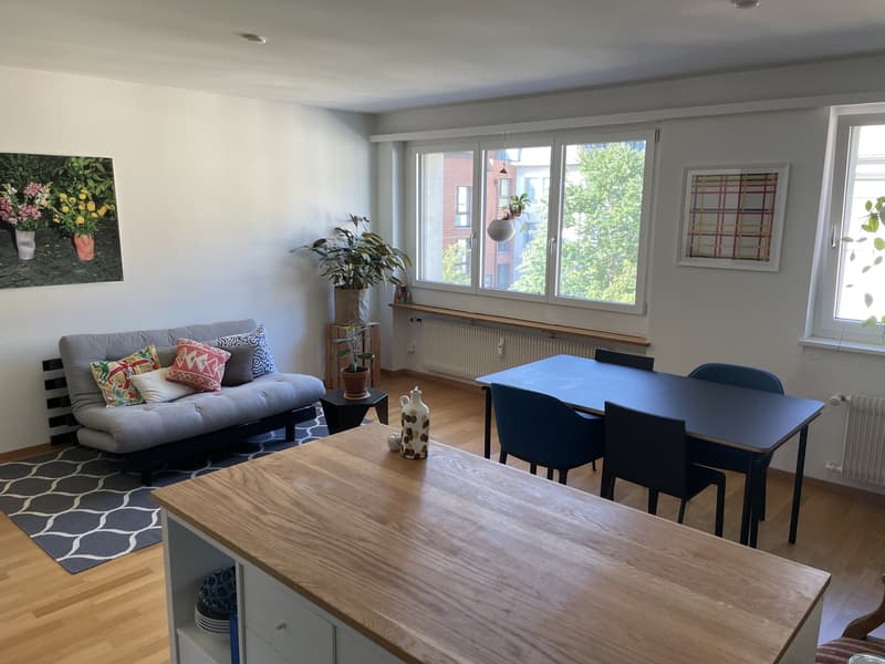 2½ ZI-WOHNUNG IN BASEL - SPALEN, MÖBLIERT, TEMPORÄR (1)