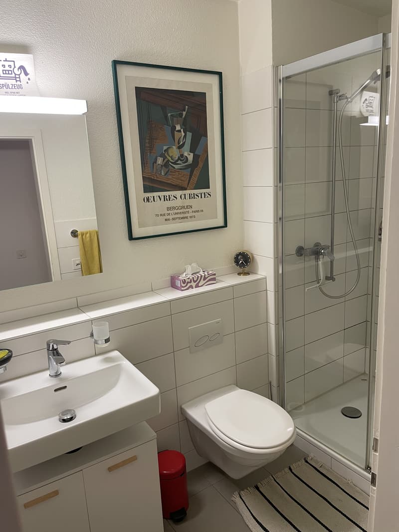 2½ ZI-WOHNUNG IN BASEL - SPALEN, MÖBLIERT, TEMPORÄR (6)