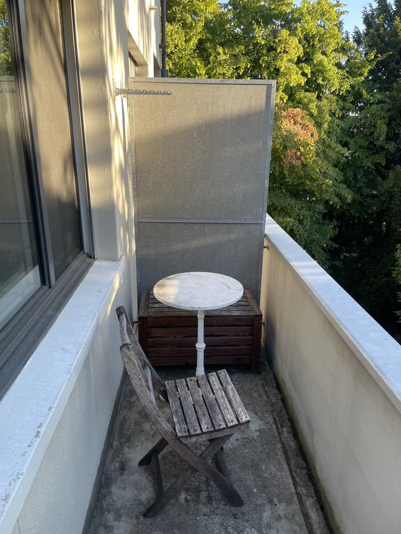 2½ ZI-WOHNUNG IN BASEL - SPALEN, MÖBLIERT, TEMPORÄR (10)