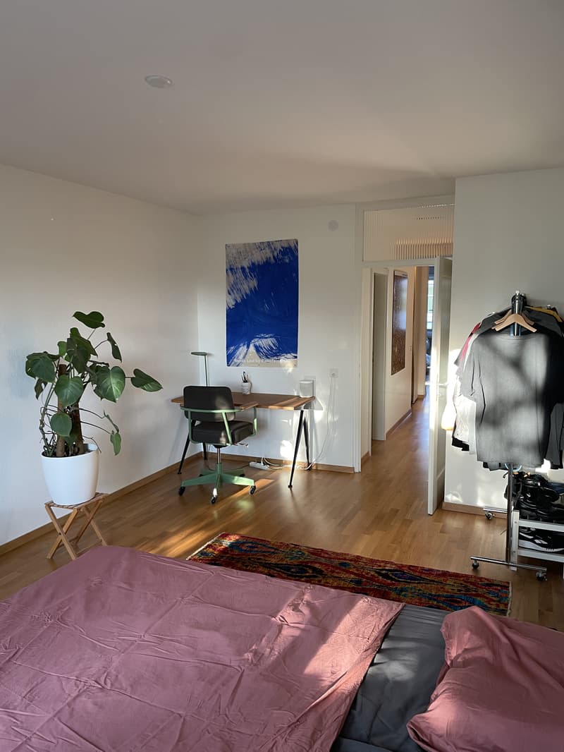 2½ ZI-WOHNUNG IN BASEL - SPALEN, MÖBLIERT, TEMPORÄR (4)