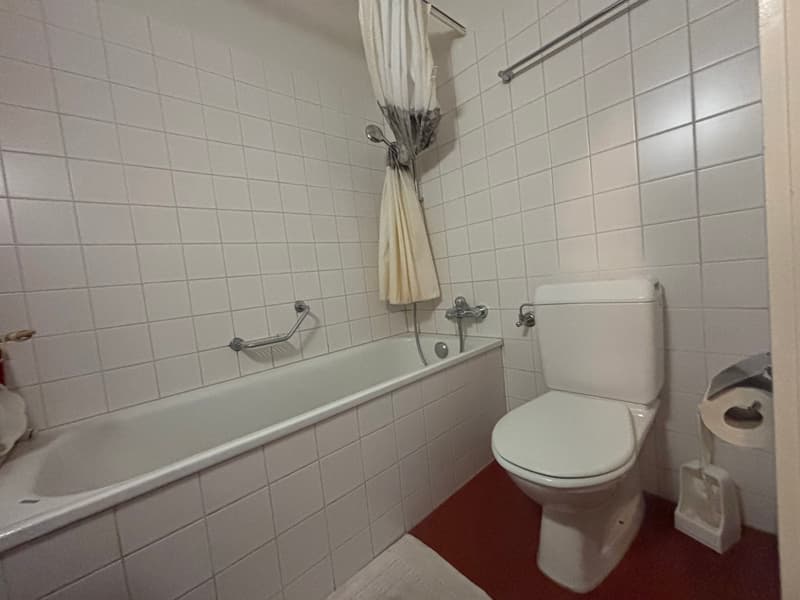 2 ZI-WOHNUNG IN BERN - BREITENRAIN, MÖBLIERT, TEMPORÄR (5)