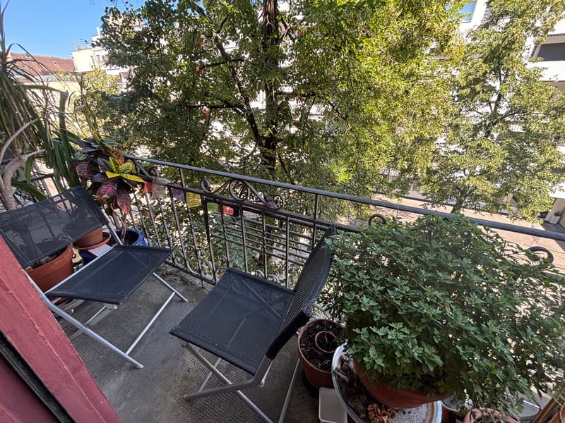 2 ZI-WOHNUNG IN BERN - BREITENRAIN, MÖBLIERT, TEMPORÄR (6)