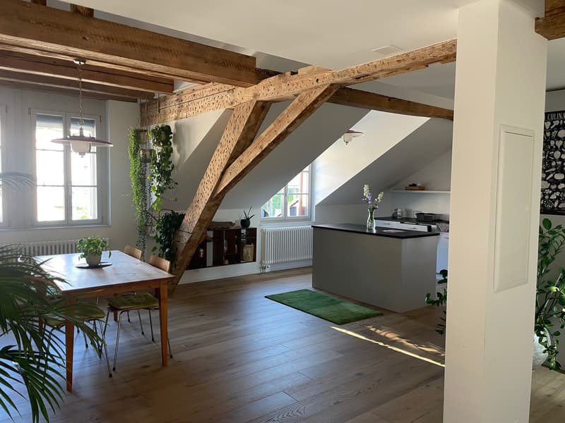 4½ ZI-WOHNUNG IN BERN - LORRAINE, MÖBLIERT, TEMPORÄR (1)