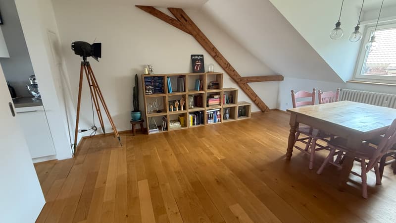 2½ ZIMMER-LOFT IN BASEL - ST. JOHANN, MÖBLIERT, TEMPORÄR (4)