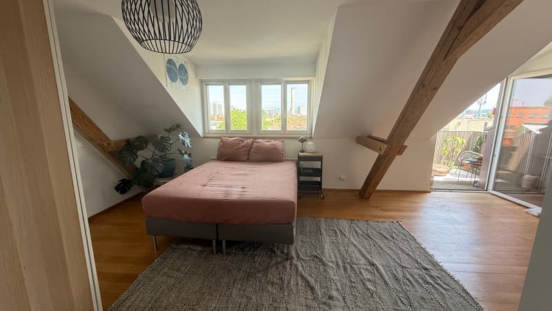 2½ ZIMMER-LOFT IN BASEL - ST. JOHANN, MÖBLIERT, TEMPORÄR (6)