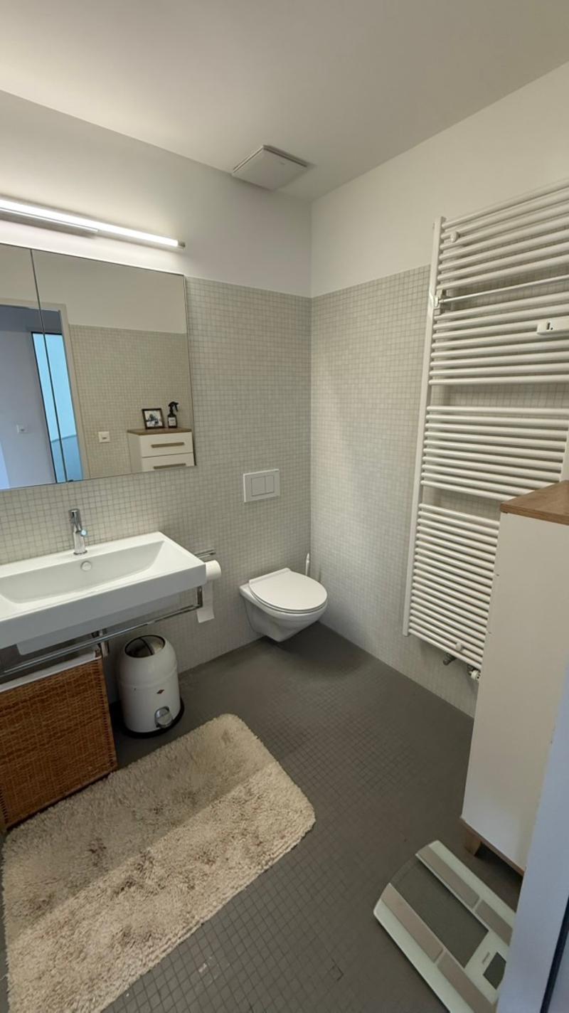 2½ ZIMMER-LOFT IN BASEL - ST. JOHANN, MÖBLIERT, TEMPORÄR (9)