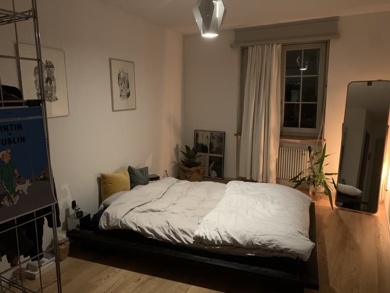 3½ ZI-WOHNUNG IN BERN - ALTSTADT, MÖBLIERT, TEMPORÄR (3)