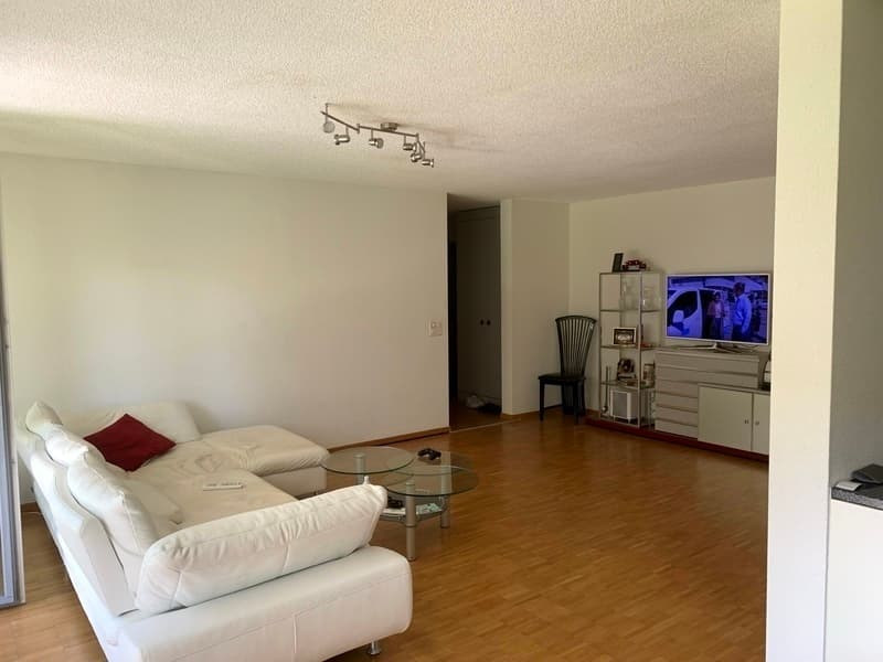 2½ ZI-WOHNUNG IN ALTENDORF (SZ), MÖBLIERT, TEMPORÄR (2)