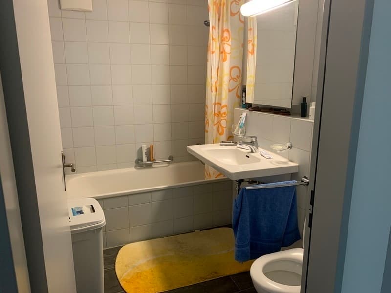 2½ ZI-WOHNUNG IN ALTENDORF (SZ), MÖBLIERT, TEMPORÄR (7)