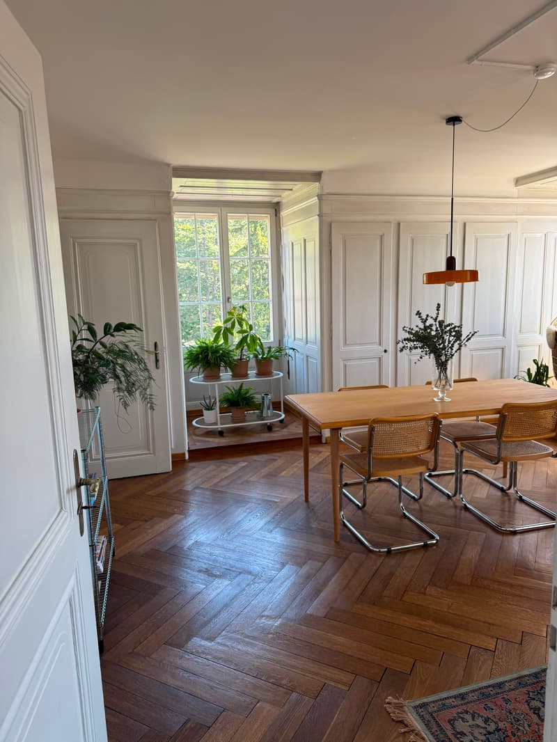3½ ZI-WOHNUNG IN THUN (BE), MÖBLIERT, TEMPORÄR (2)