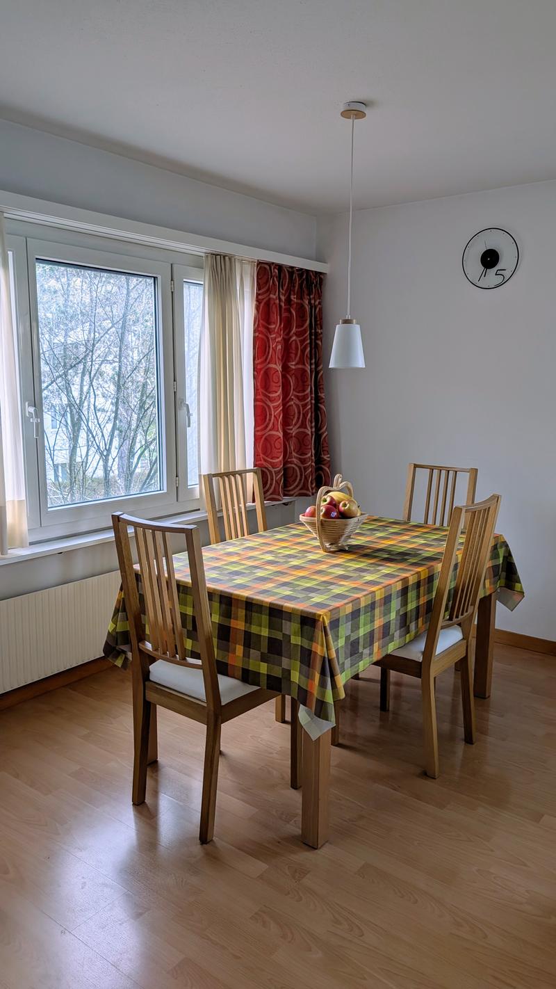 2½ ZI-WOHNUNG IN ADLISWIL (ZH), MÖBLIERT, TEMPORÄR (6)