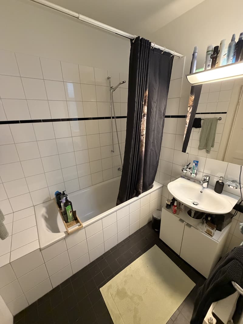 2 ZI-WOHNUNG IN BASEL - ST. JOHANN, MÖBLIERT, TEMPORÄR (8)