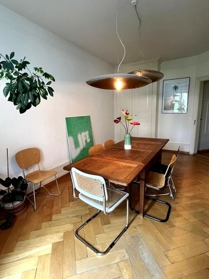 3½ ZI-WOHNUNG IN ZÜRICH - KREIS 7 HOTTINGEN, MÖBLIERT, TEMPORÄR (3)