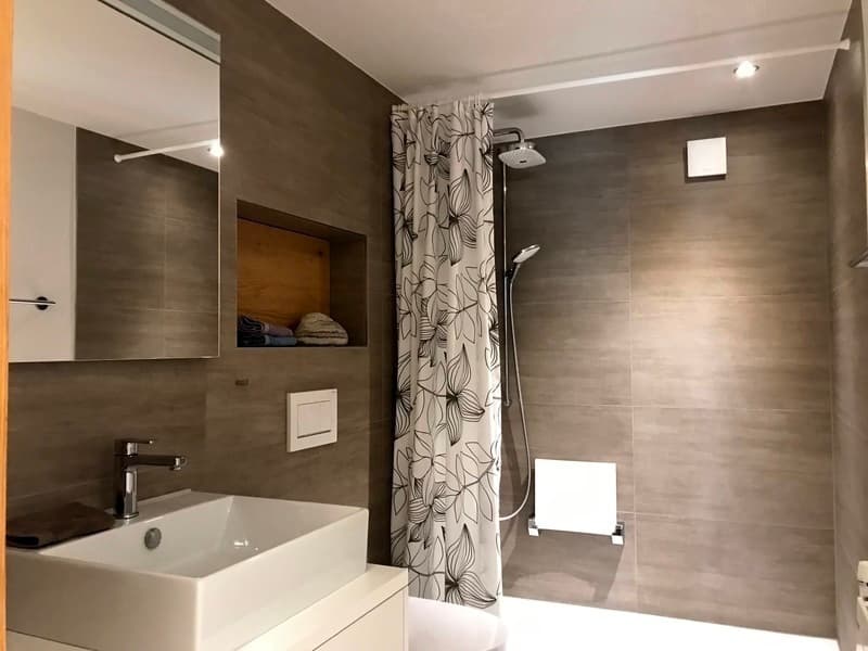 2½ ZI-WOHNUNG IN THUN (BE), MÖBLIERT, TEMPORÄR (8)