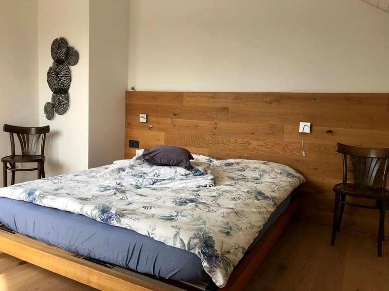 2½ ZI-WOHNUNG IN THUN (BE), MÖBLIERT, TEMPORÄR (10)