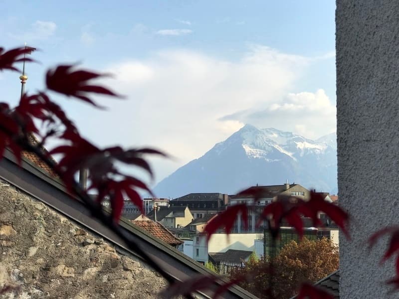 2½ ZI-WOHNUNG IN THUN (BE), MÖBLIERT, TEMPORÄR (13)