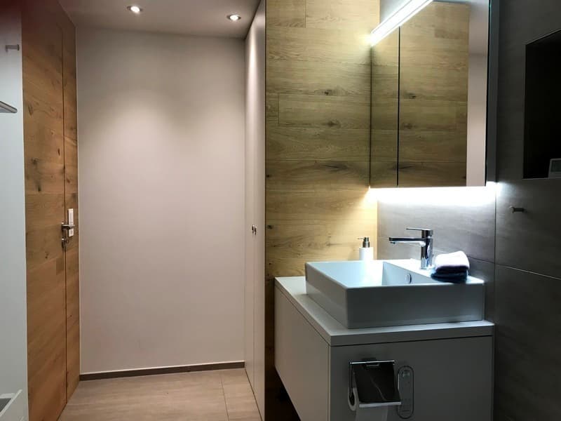 2½ ZI-WOHNUNG IN THUN (BE), MÖBLIERT, TEMPORÄR (9)