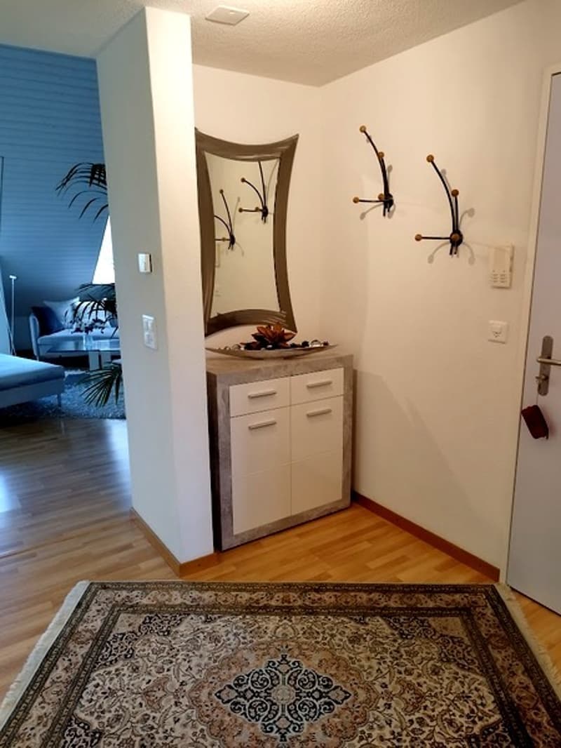 2½ ROOM ATTIC APARTMENT IN AU (ZH), FURNISHED, TEMPORARY (7)